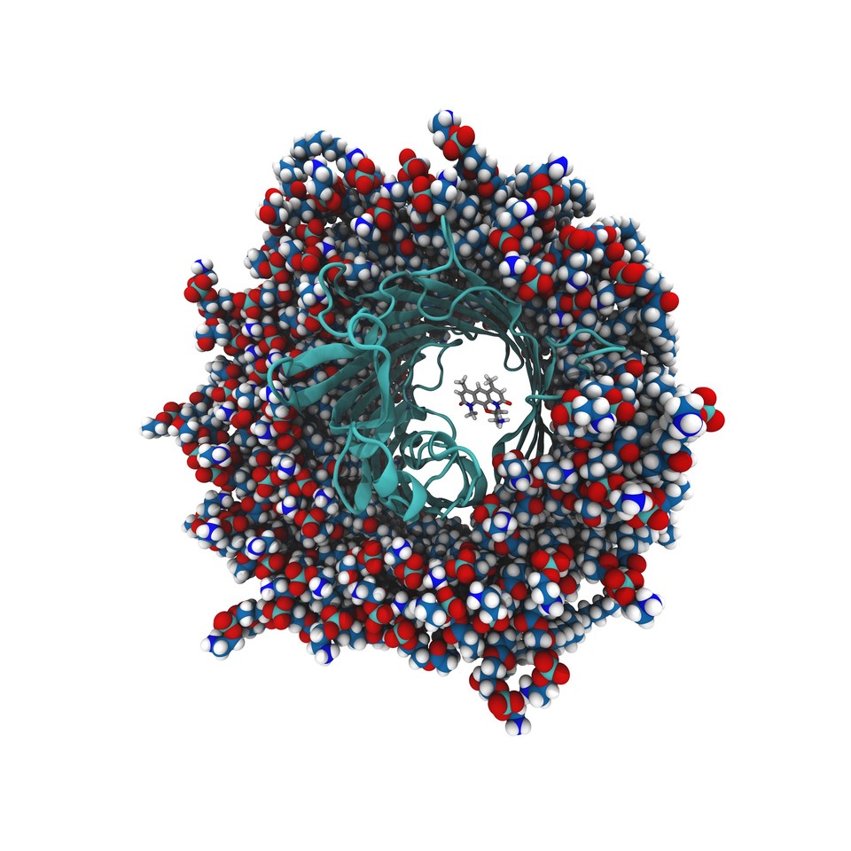 A new strategy for discovering broad-spectrum antibacterials